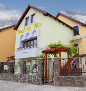 Cosbuc Residence & Villa